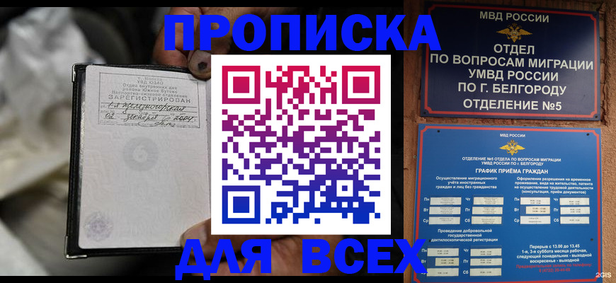 где прописаться в Шебекино